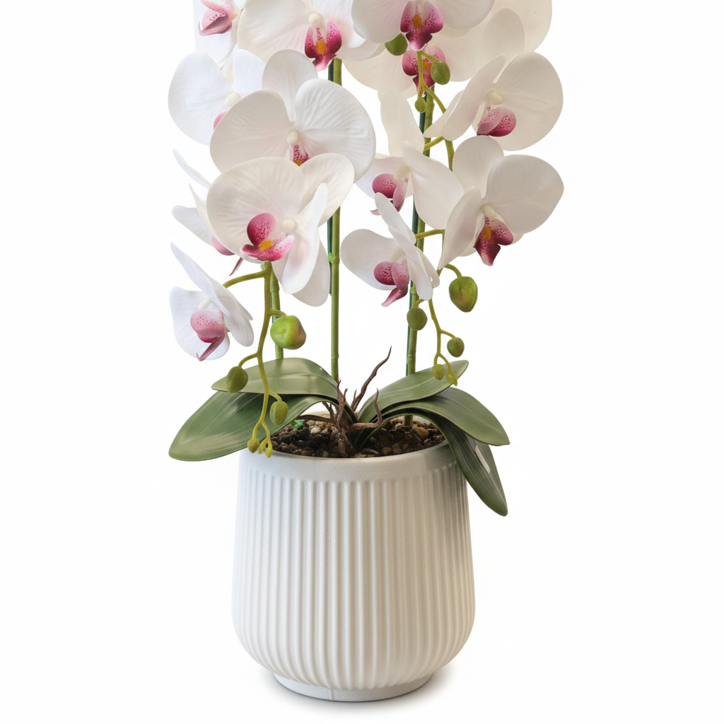 Orchid Pot Close Up