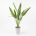 Artificial Bird of Paradise Plant 95cm