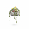 Succulent Arrangement - Full Shot