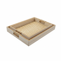 Two Trays Nested
