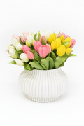 Vase with Tulips - White Background