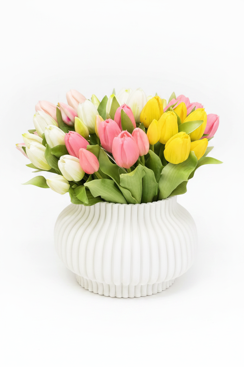 Vase with Tulips - White Background