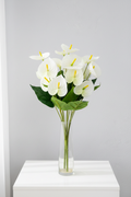 White Anthurium Bouquet in Vase