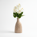 White Anthurium