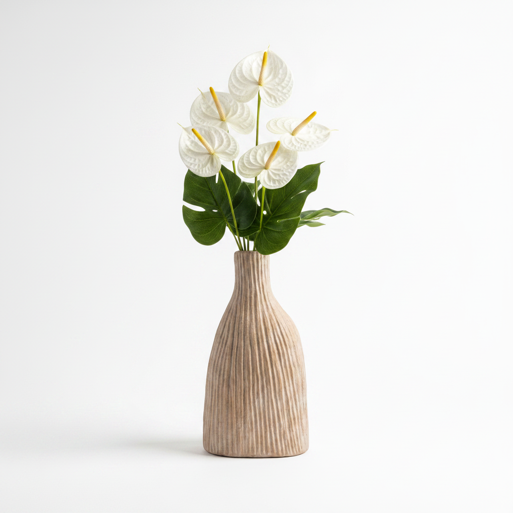 White Anthurium