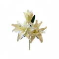 White Lily - Top View
