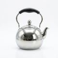 Stainless Steel Tea Kettle